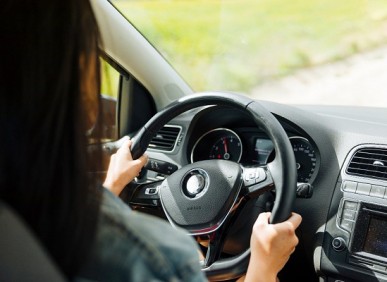 Entendendo a diferença entre segurado e principal condutor