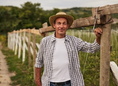 Seguro Rural x Seguro Agrícola: Diferença e suas implicações jurídicas